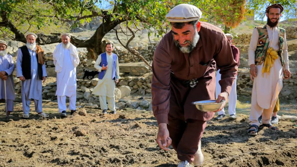 نمایندگی اتحادی اروپا: تغییرات اقلیمی زراعت و اقتصاد روستایی افغانستان را تهدید می‌کند