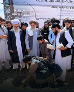 گروه طالبان از آغاز پروژه برق‌رسانی در جوزجان خبر داد