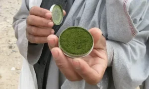 نماینده سازمان صحی جهان: محافظت از مردم افغانستان در برابر اضرار تنباکو مسوولیت مشترک است