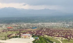 نهضت آزادی و عدالت افغانستان مدعی کشتن یک طالب در پروان شد