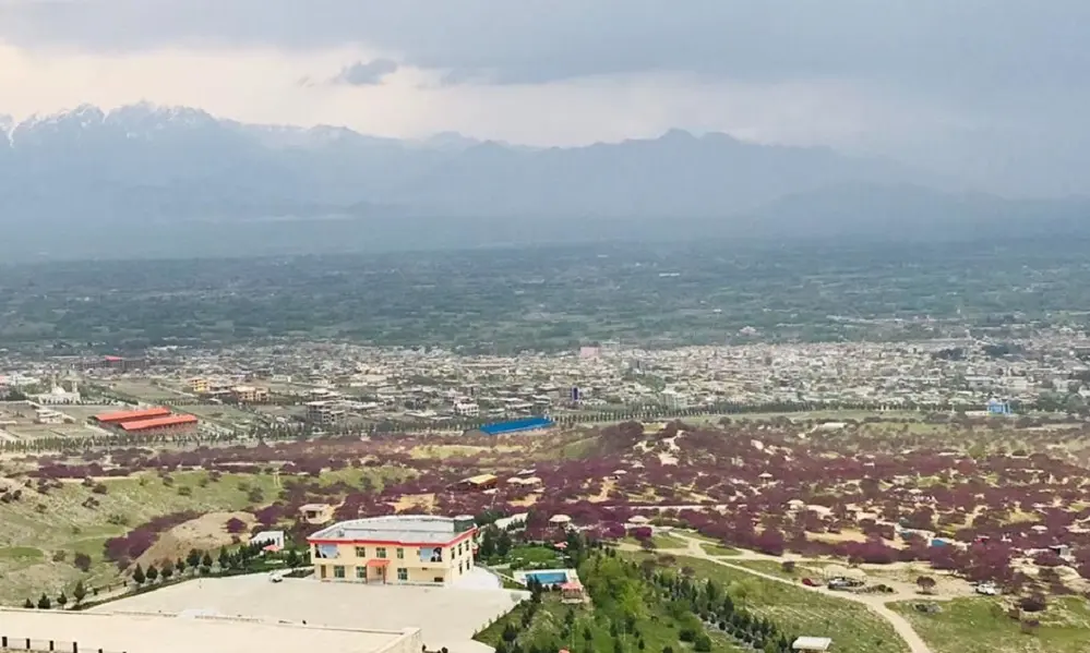 نهضت آزادی و عدالت افغانستان مدعی کشتن یک طالب در پروان شد