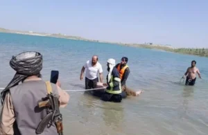 طالبان: طی دوونیم ماه گذشته، ۷۵ نفر بر اثر غرقشدن در آب جان باختند