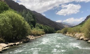 در یک سال گذشته ۱۸ تن در دریای پنجشیر جان باخته‌اند