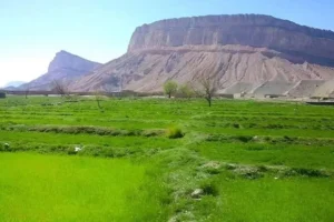 در یک درگیری بر سر آب کشاورزی در ولسوالی تالهوبرفک بغلان چهار تن کشته شدند